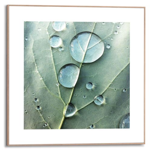 Praxis Decoratief paneel Zoom close-up waterdruppels op blad 50x50cm MDF