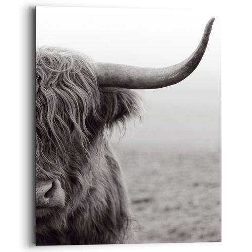 Praxis Decoratief paneel Schotse hooglander stier 40x50cm MDF